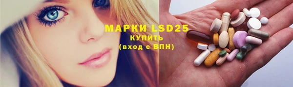 ГАЛЛЮЦИНОГЕННЫЕ ГРИБЫ Липки