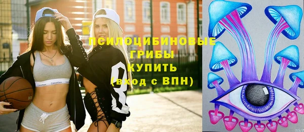 метадон Ладушкин