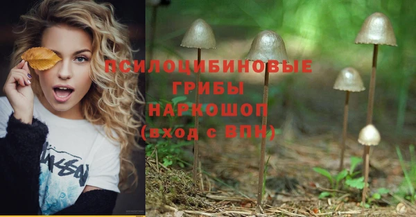 мескалин Лагань