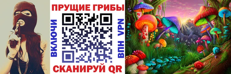 Галлюциногенные грибы мицелий  Купить  Мезень 